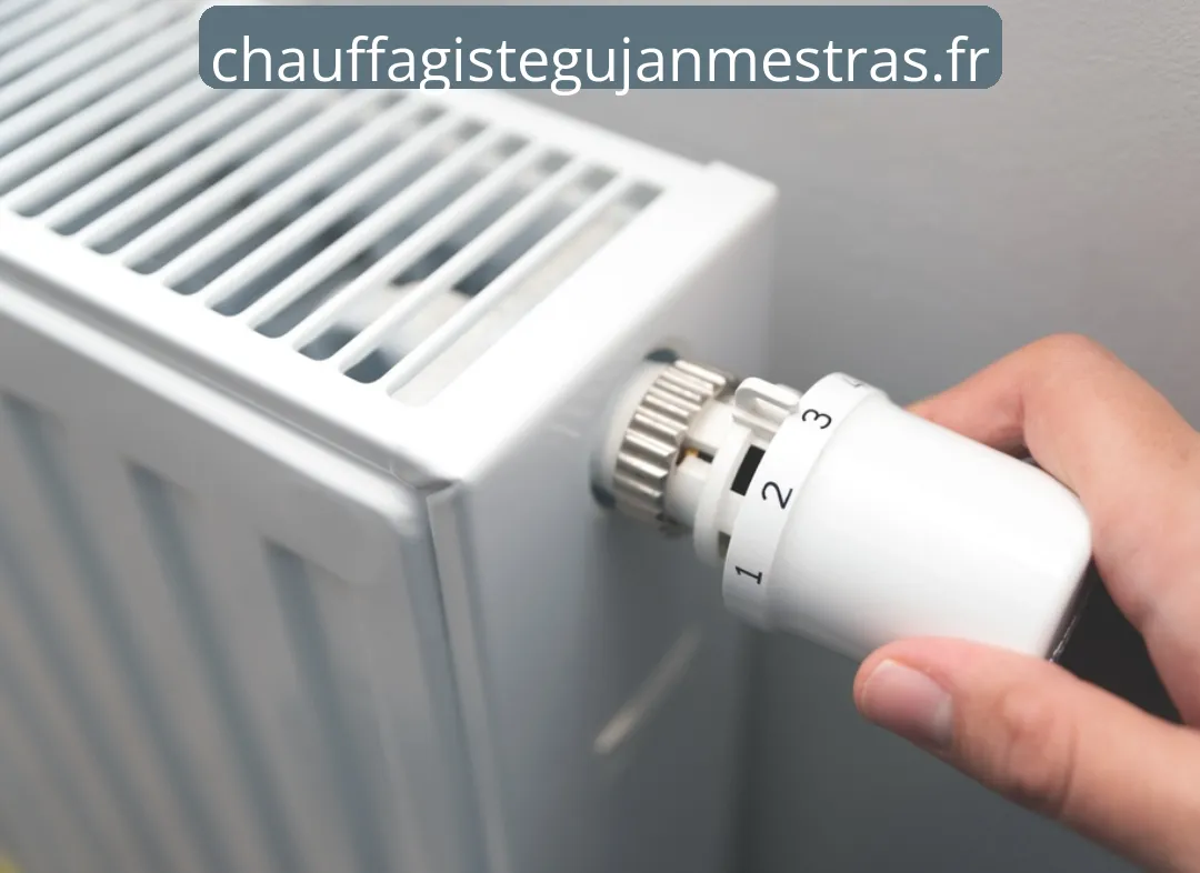 Remplacement de Thermostat Gujan-Mestras